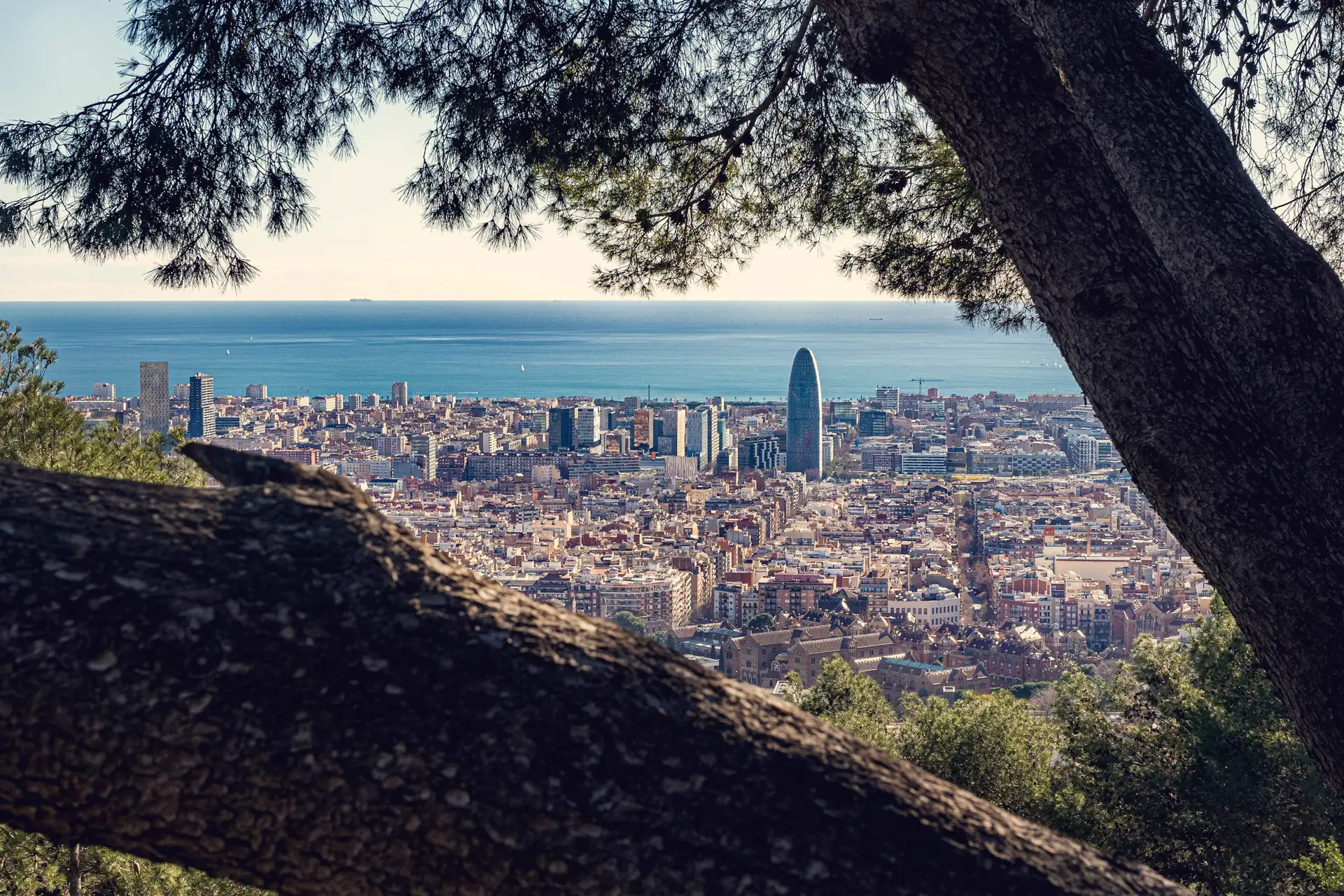 Barcelona and the sea seen through pine branches